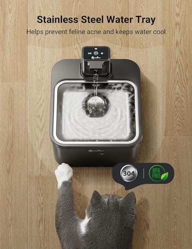 Cat Water Fountain Cordless