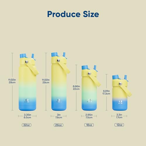 Insulated Water Bottle with Straw Stainless Steel Water Bottle