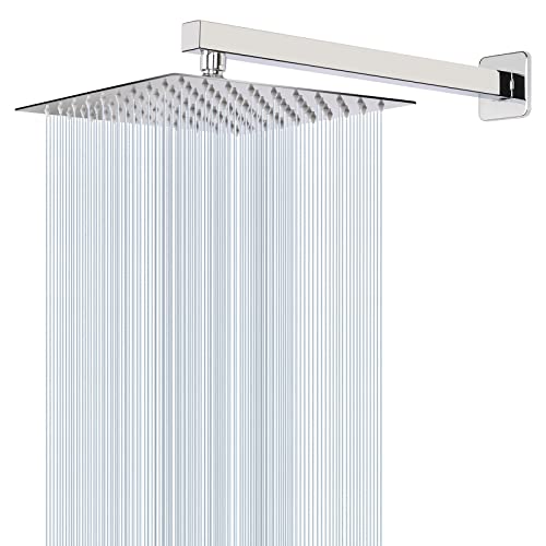 Shower Head with Extension Arm