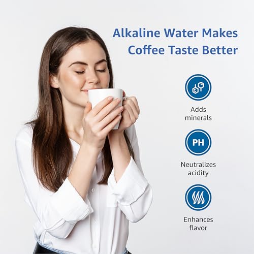 PF AL Alkaline Water Filter Replacement for Waterdrop® Pitcher (2 Count)