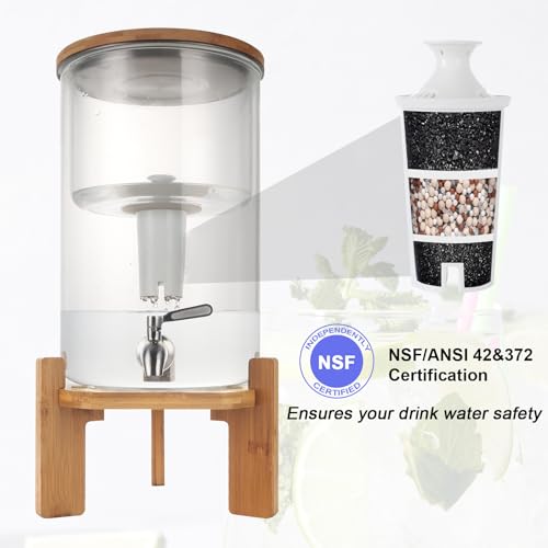 Glass Water Filter Pitcher