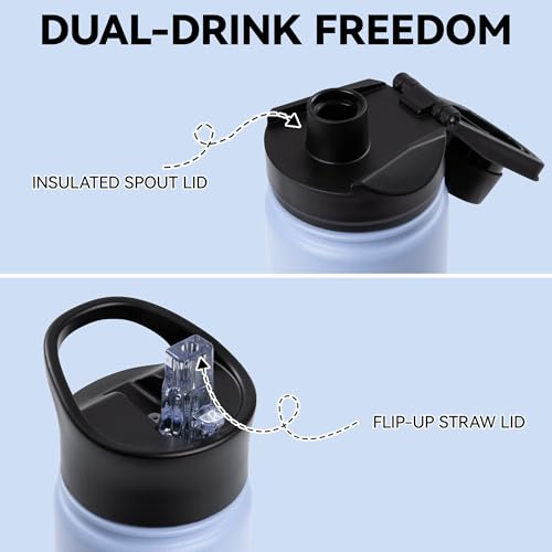 16 oz Insulated Water Bottle Bulk 8 Pack (8 Count)