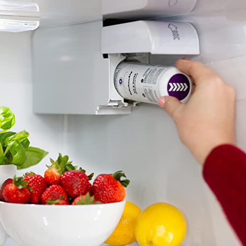 Refrigerator Ice and Water Filter 1