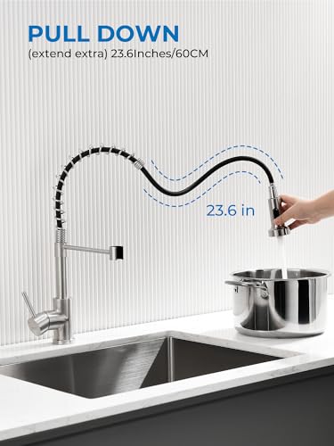 Pull Out Kitchen Faucet