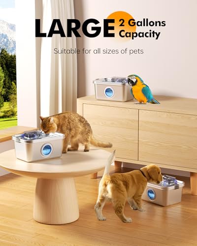 Cat & Dog Water Fountain