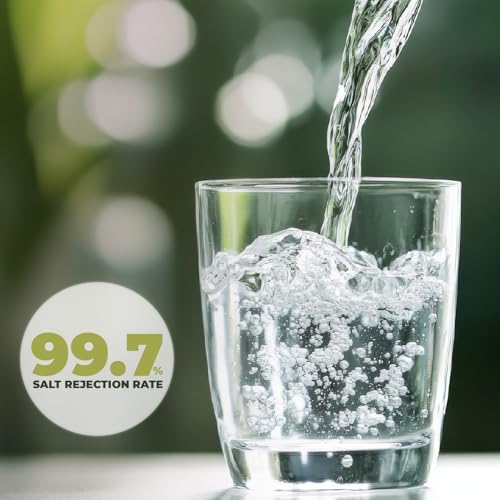 LP 2521 Reverse Osmosis Low