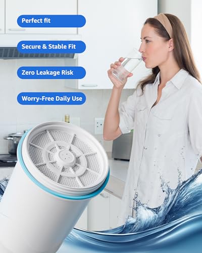 Compatible with Zero Pitcher and Dispenser ZR (6 Count)