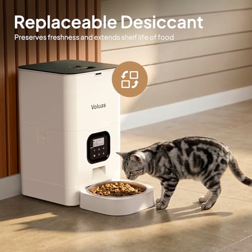 Automatic Cat Feeder