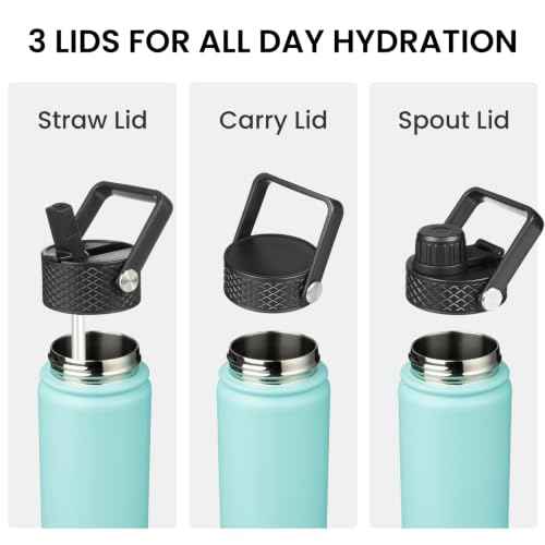 22 oz Insulated Stainless Steel Water Bottle with Straw Lid