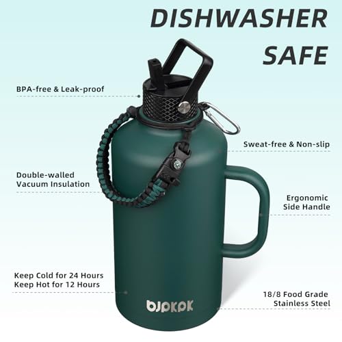 87oz Insulated Water Bottle with Straw Lid Stainless Steel Water Jug