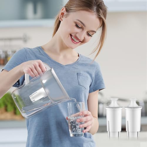 Water Filter Replacement Compatible With Brita® Filter