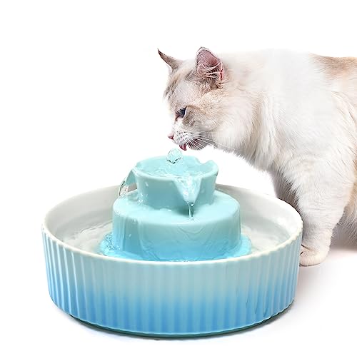 Ceramic Cat Water Fountain