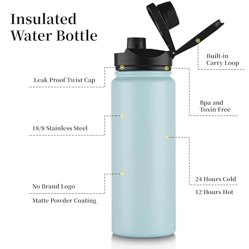 24 oz Insulated Water Bottle with Straw Lid & Wide Mouth Lids