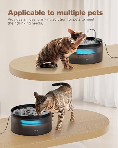 Black Cat Water Fountain