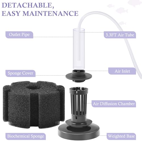 Aquarium Sponge Filter