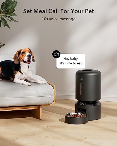Automatic Cat Feeder