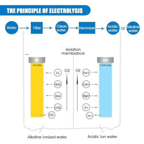 Alkaline Water Ionizer Machine 729