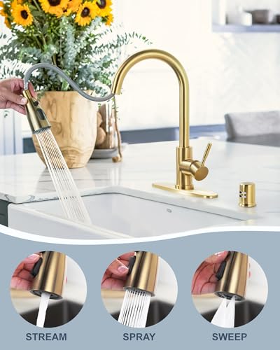 Kitchen Faucet with Air Gap