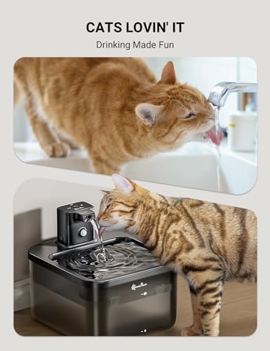 Cat Water Fountain Cordless