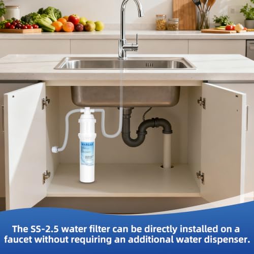Replacement Filter F.SET.SS (2 Count)