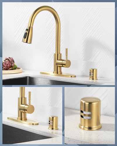 Kitchen Faucet with Air Gap