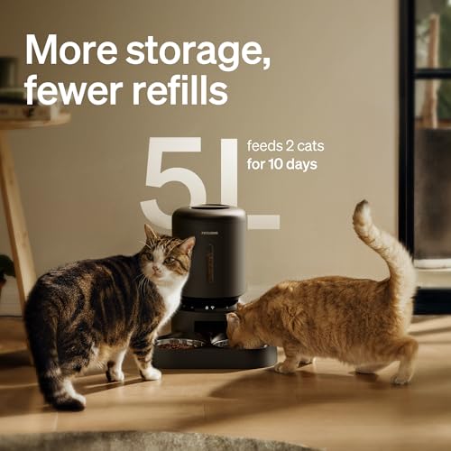 Automatic Cat Feeder for 2 Cats