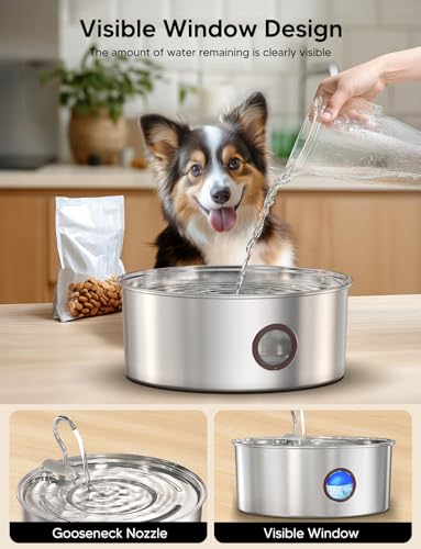 Dog Water Fountain for Large Dogs