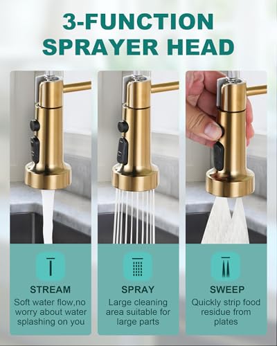 Kitchen Sink Faucet with Soap Dispenser
