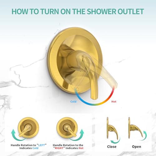 Dual 2 in 1 Shower System with Tub Spout