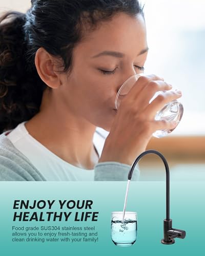 Kitchen Faucet and Water Filter Faucet