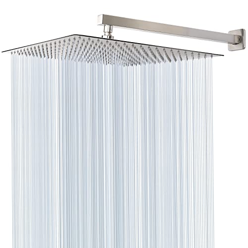 Shower Head with Extension Arm