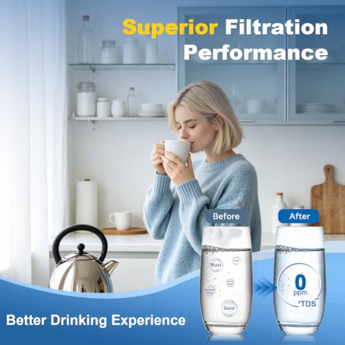 W10295370A Water Filter Replacement (3 Count)