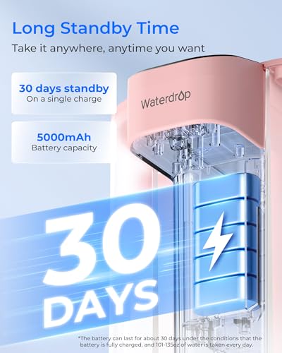 ED01P Electric Water Filter Pitcher