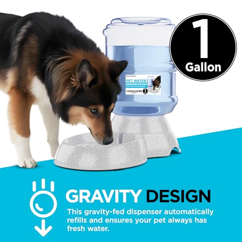 Automatic Pet Waterer Dispenser with BPA