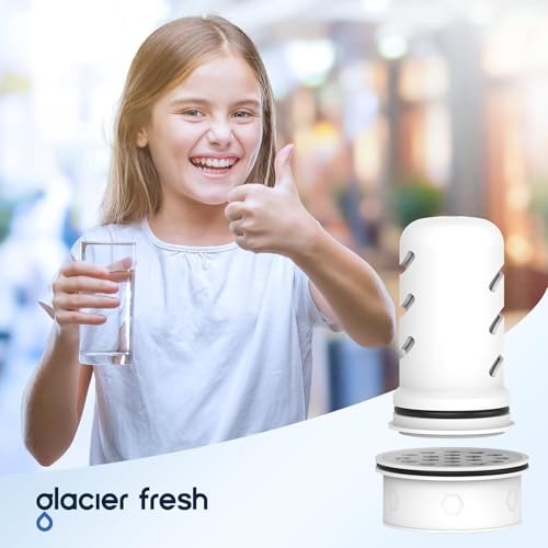 Pitcher Filters Compatible with LifeStraw (2 Count)
