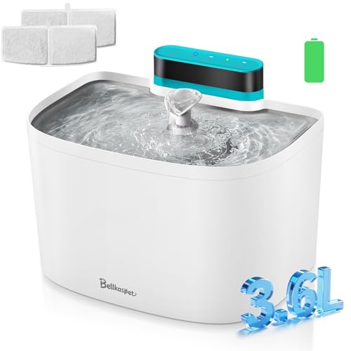 Cat Water Fountain