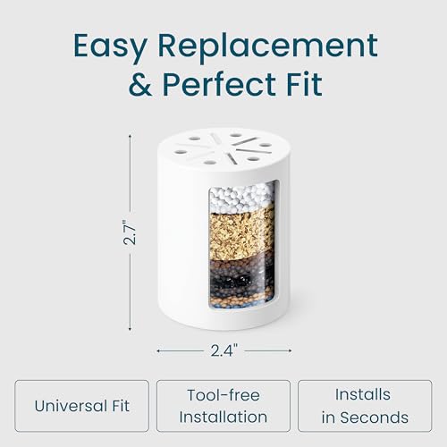 Vortex Action Shower Filter
