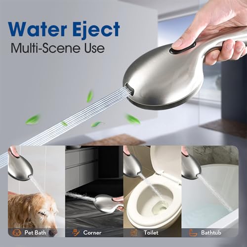 High Pressure Shower Head with Handheld Shower