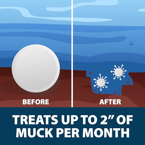 MuckAway Total Lake Natural Muck Reducer Tablets