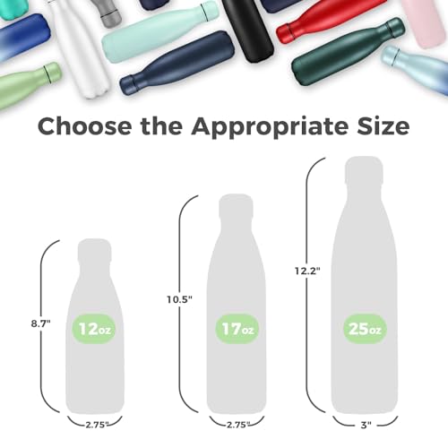 17oz Insulated Stainless Steel Water Bottle