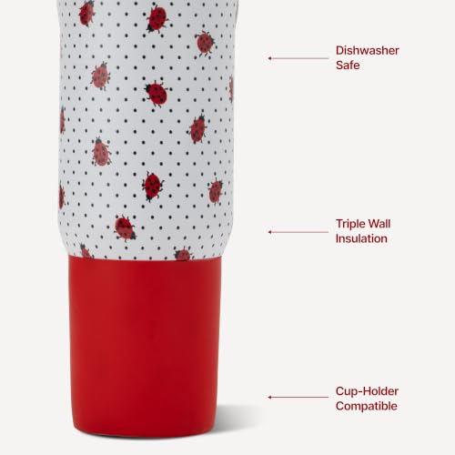 Sport 20 oz Insulated Stainless Steel Water Bottle