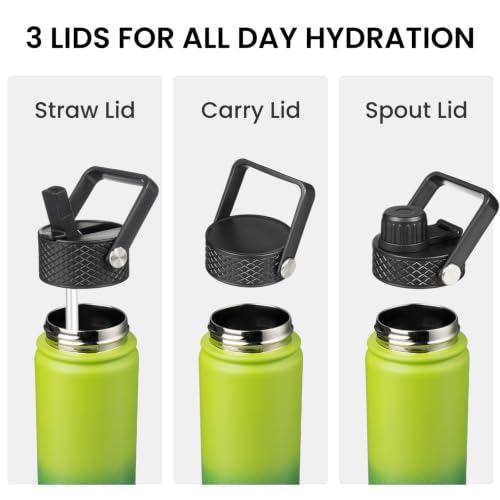 24 oz Insulated Stainless Steel Water Bottle with Straw Lid