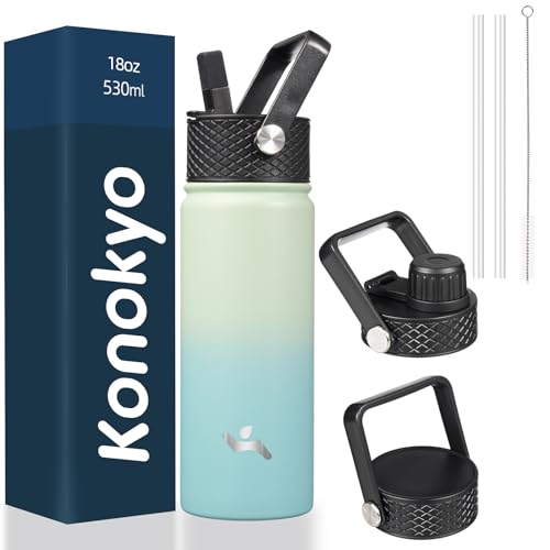 18 oz Insulated Stainless Steel Water Bottle with Straw Lid