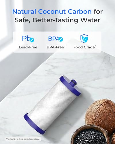 WF1CB Refrigerator Water Filter (6 Count)
