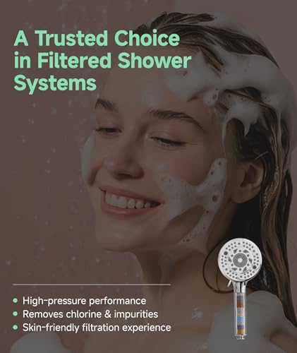 Filtered Shower Head with Handheld