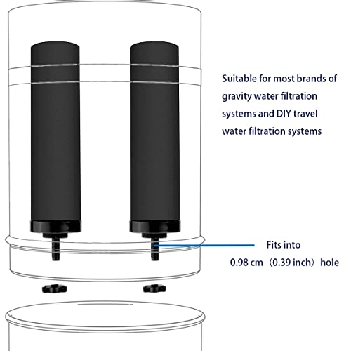 2PCS Black Water Filters