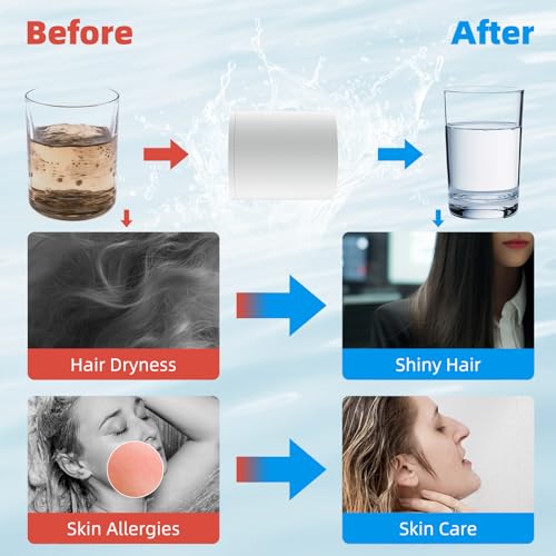 2 Pack 20 Stage Shower Filter Replacement Cartridge for Hard Water (2 Count)