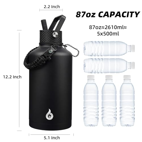 87oz Insulated Water Bottle with Straw Lid Stainless Steel Water Jug