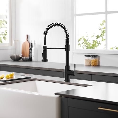 Black Kitchen Faucet with Pull Down Sprayer