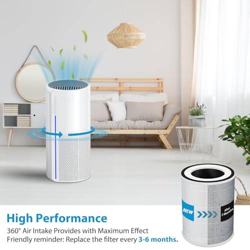 2 Pack True HEPA Kilo Filter Replacement for Afloia Kilo (2 Count)